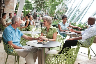 Royal Caribbean International Oasis of the Seas Interior Central Park Vintages 049.jpg